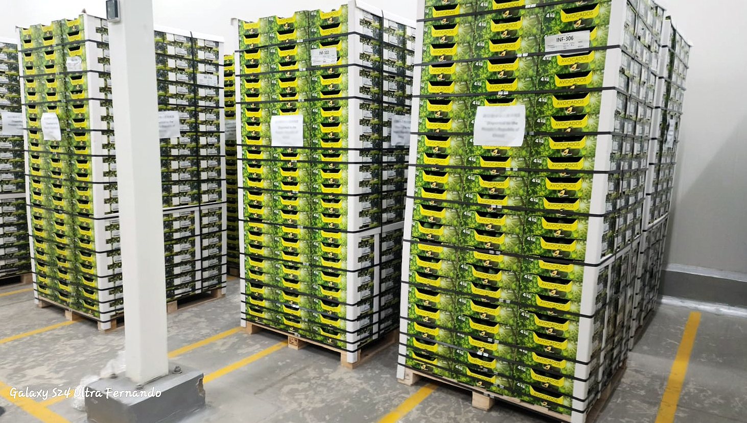 Palletised produce in cold storage